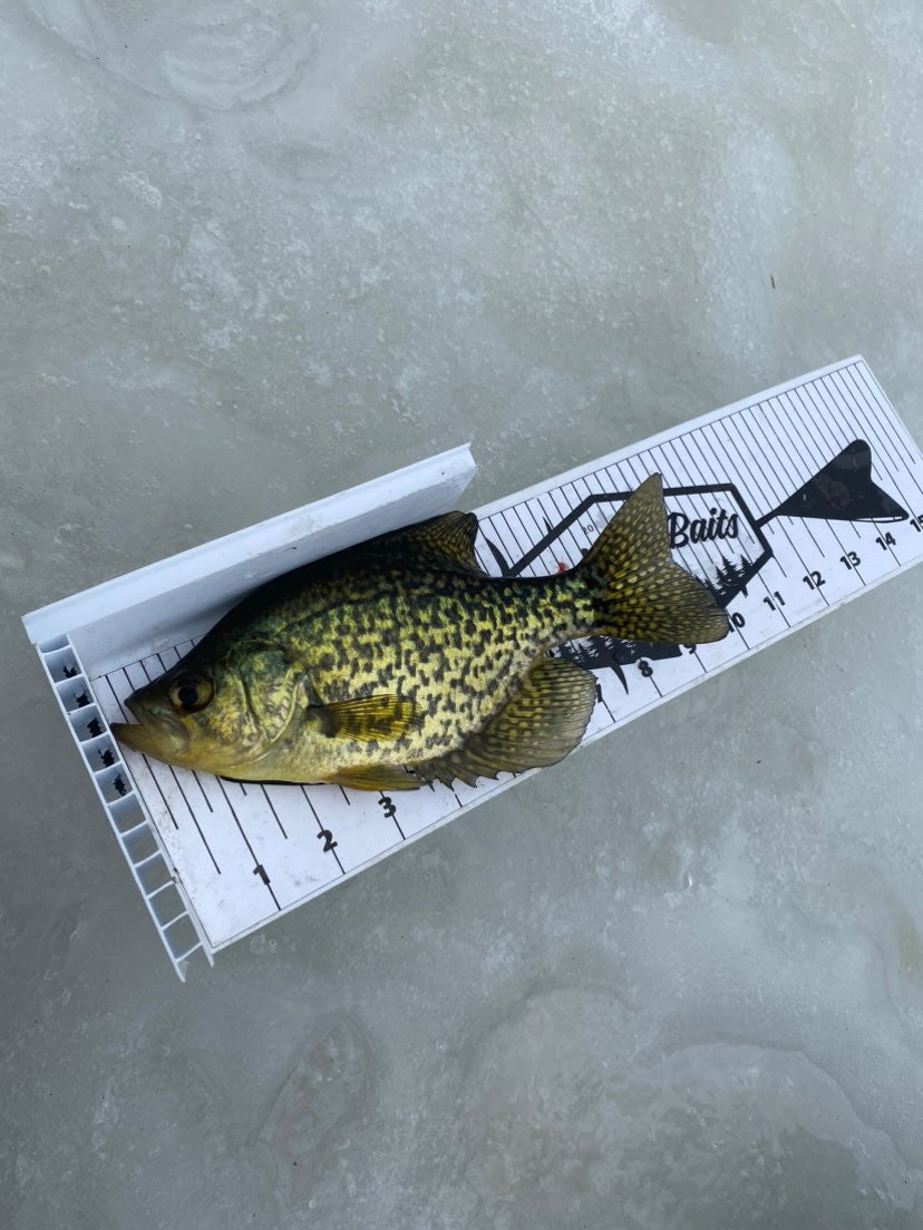 Panfish Board