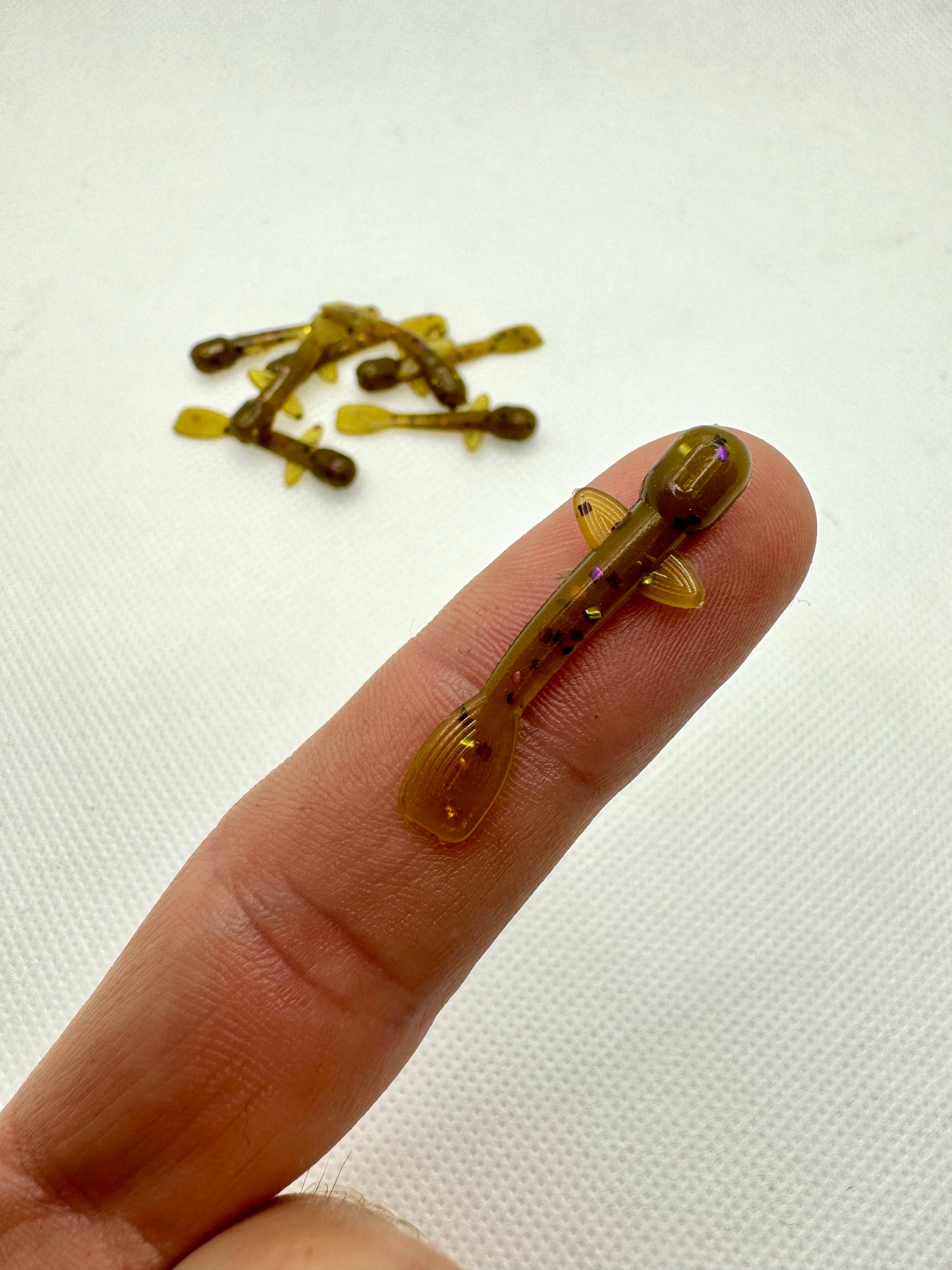 Lil Goby (1.25")