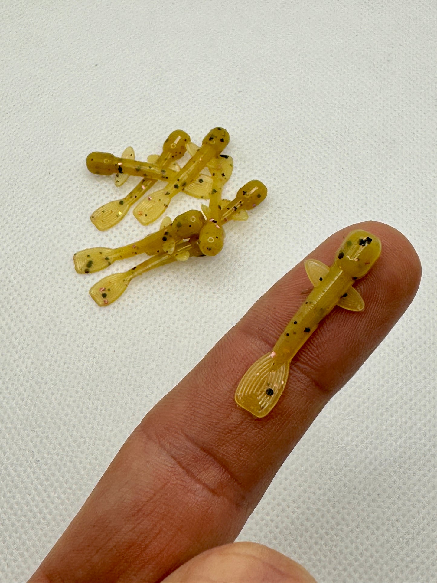 Lil Goby (1.25")