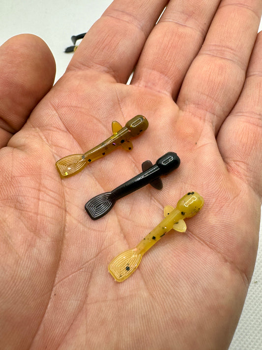 Lil Goby (1.25")