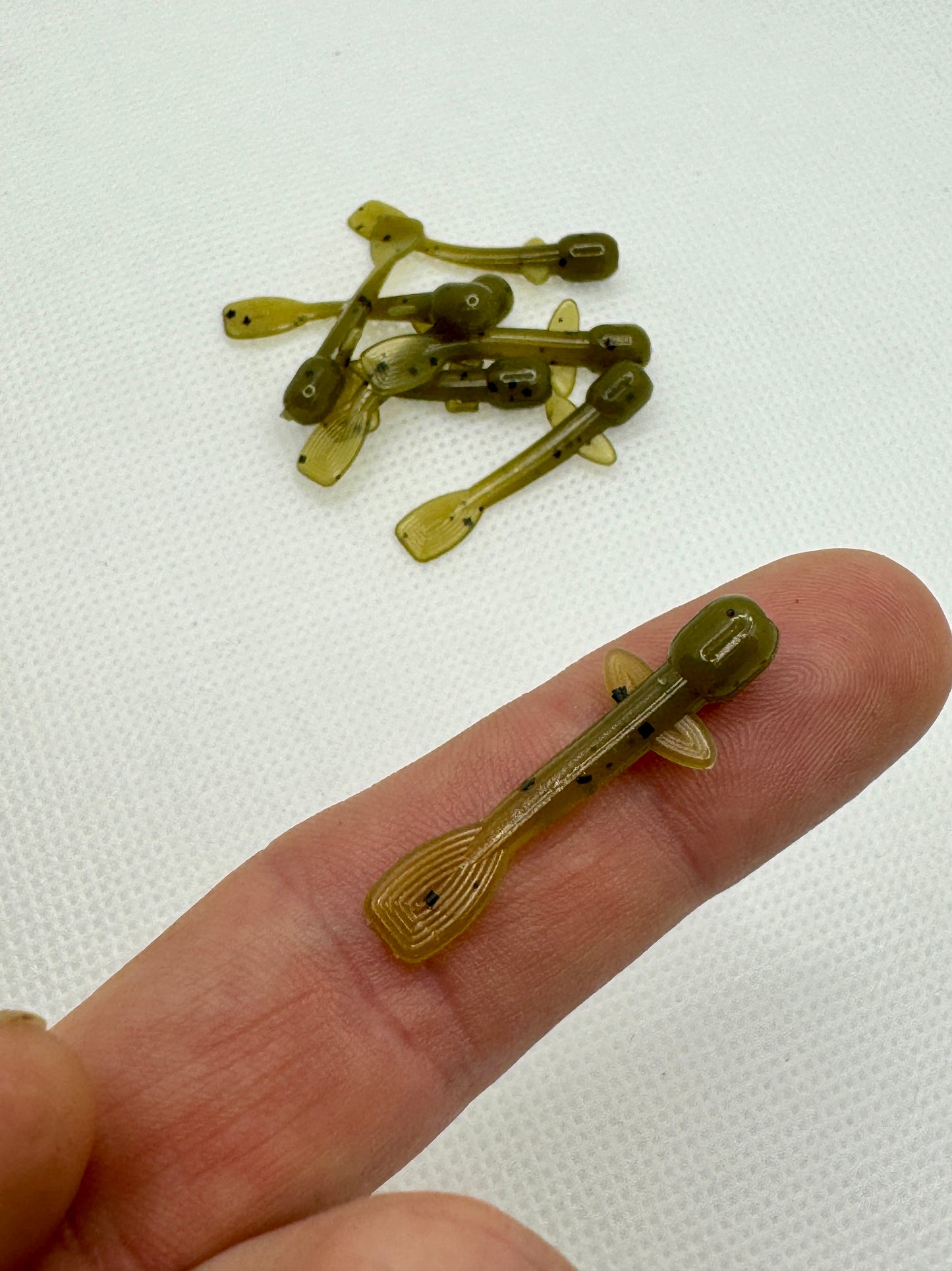 Lil Goby (1.25")