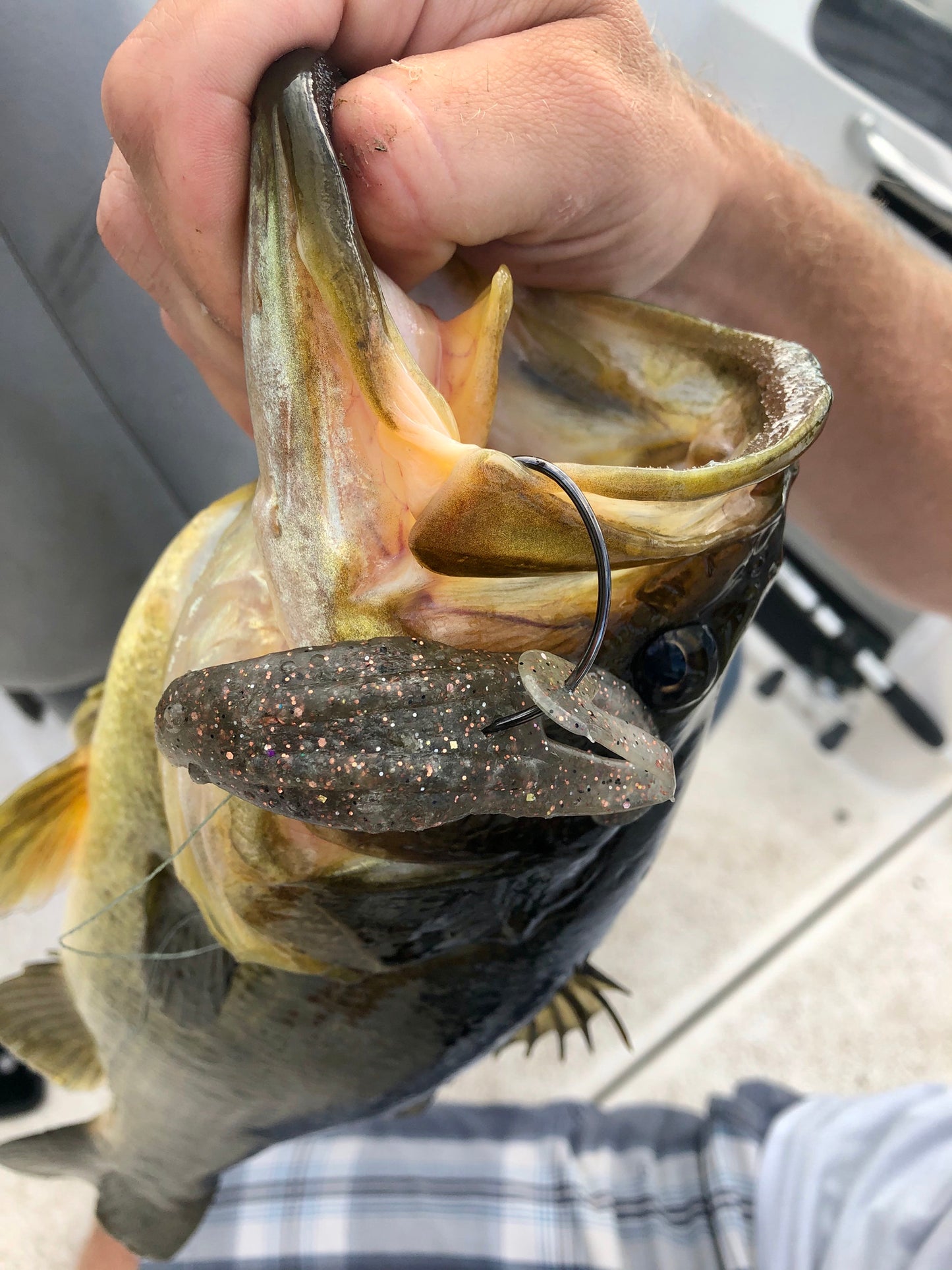 Teaser Toads (4.25")