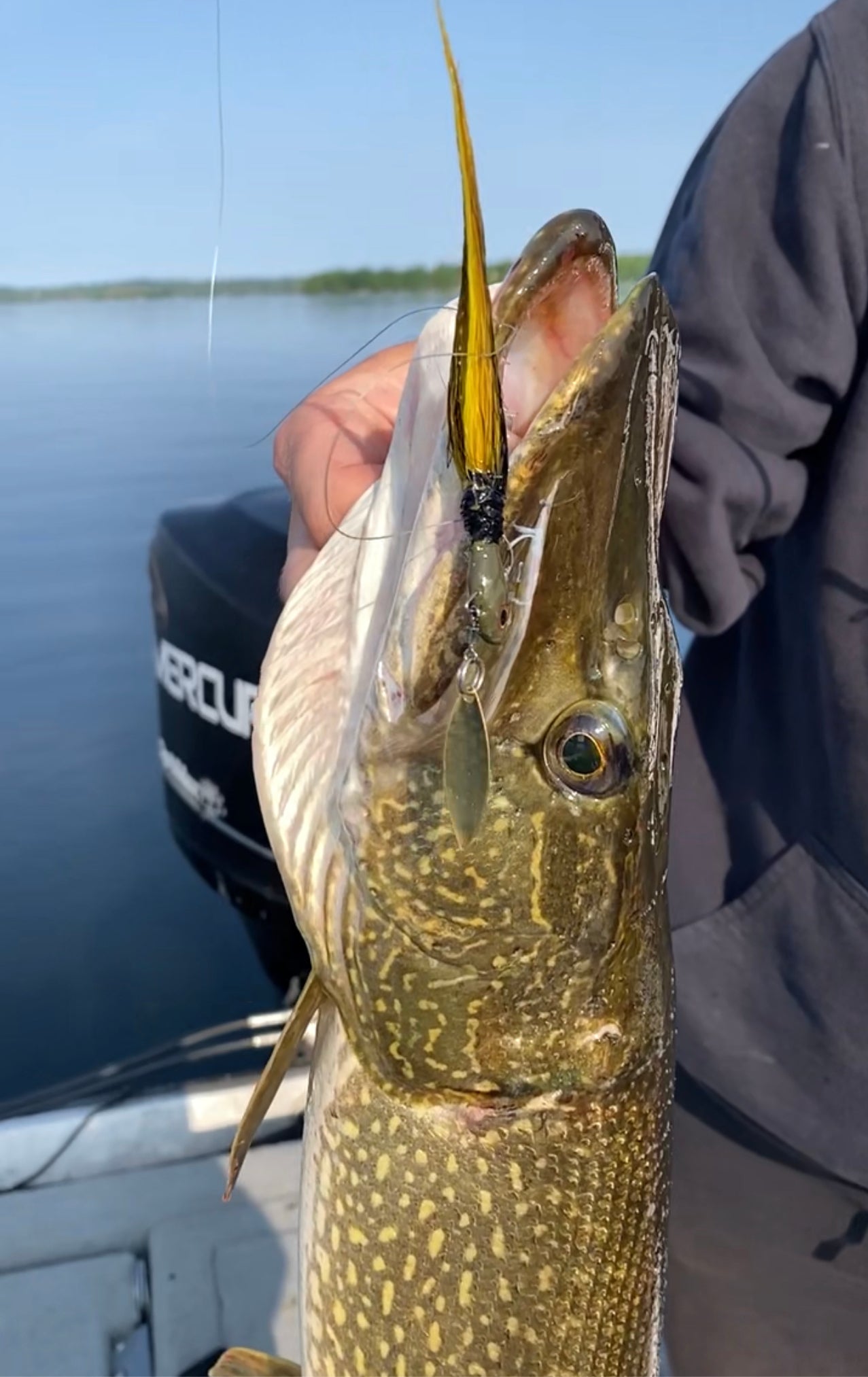 Bucktail Spins
