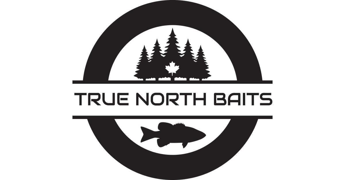 True North Baits - 5 Stoty Stick (Variety Pack, 8pk) - Stick Bait kit bass  Fishing Worms Sinking Worms sinko baits Soft Plastic Variety
