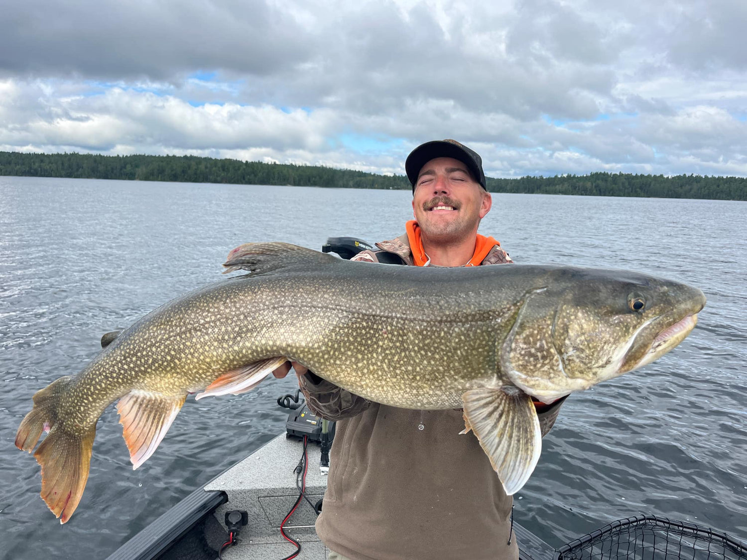 Lake Trout
