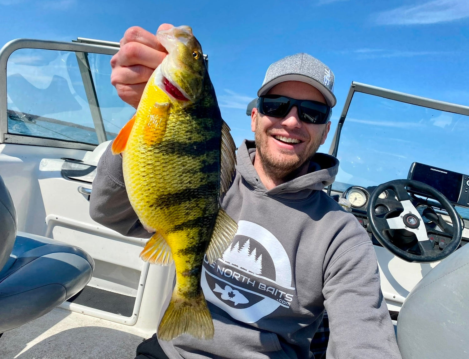 Panfish