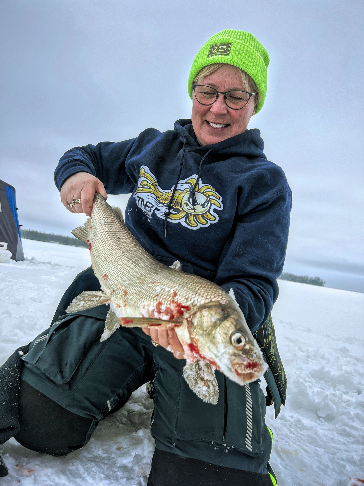 Whitefish