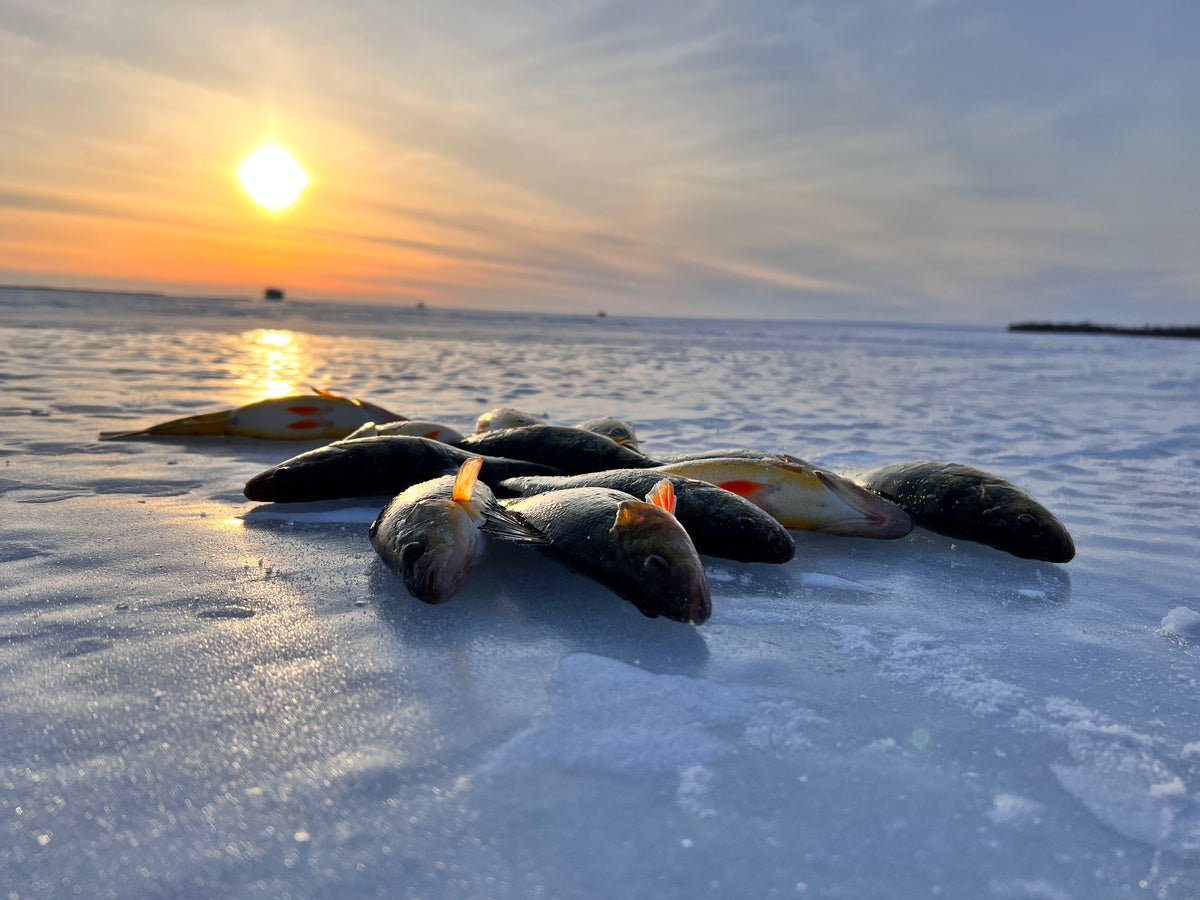 True North Baits - Superior Quality Fishing & Outdoor Products